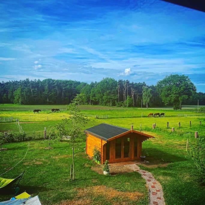 Wunderschoene Ferienwohnung Auf Dem Bauernhof เกรเวน ภายนอก รูปภาพ