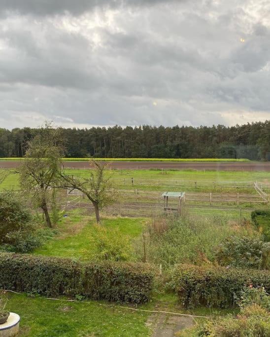 Wunderschoene Ferienwohnung Auf Dem Bauernhof เกรเวน ภายนอก รูปภาพ